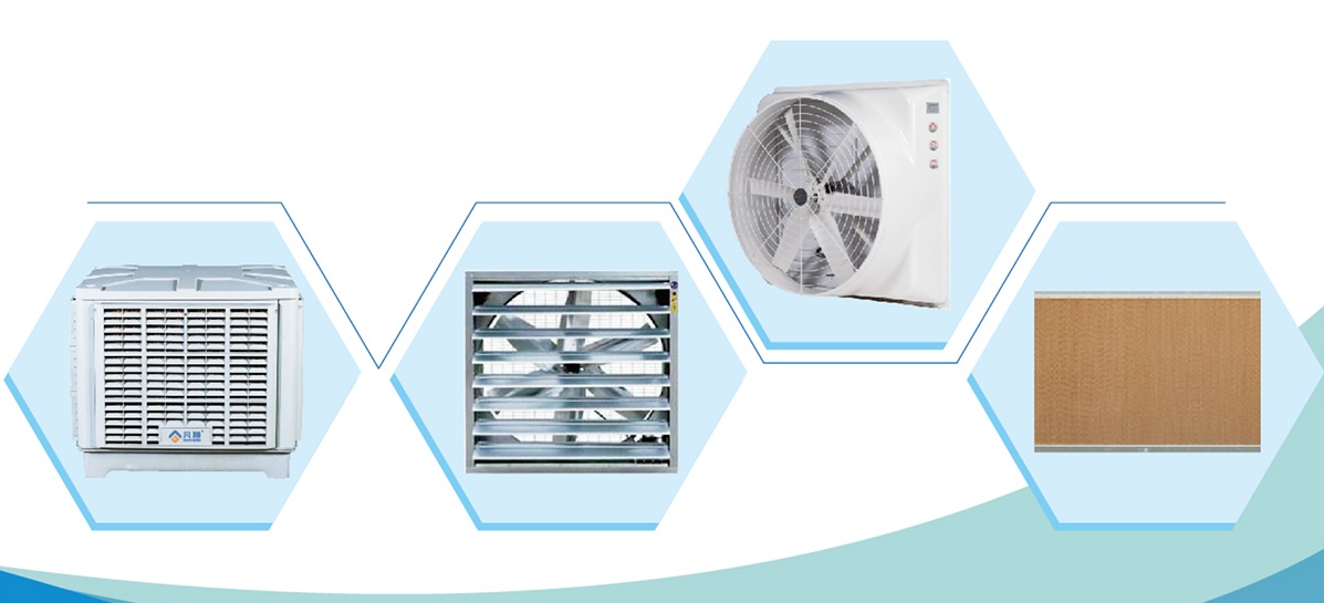 1758764897187831.png image.png